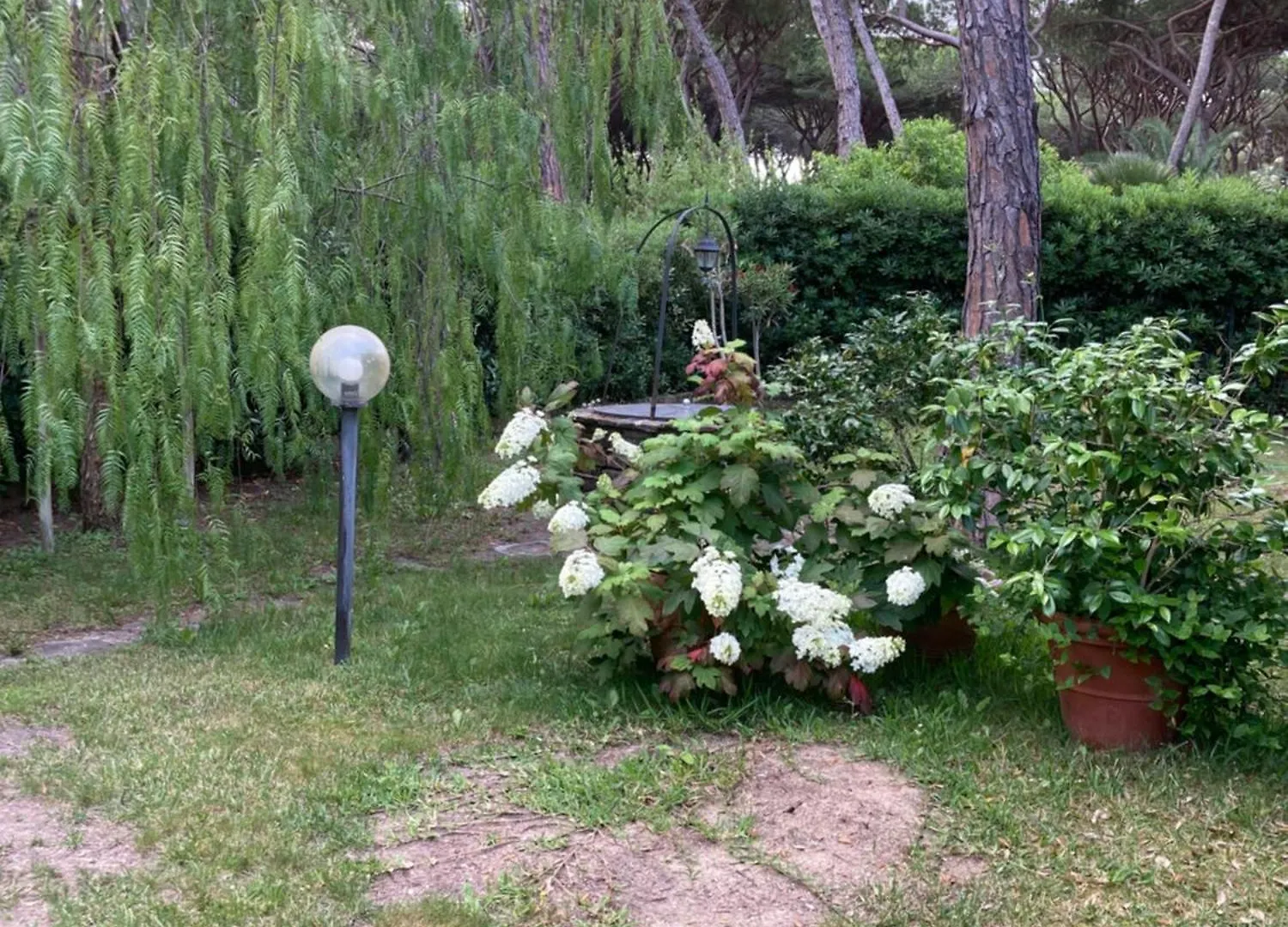 Appartamento La Casa Di Mishka Grosseto