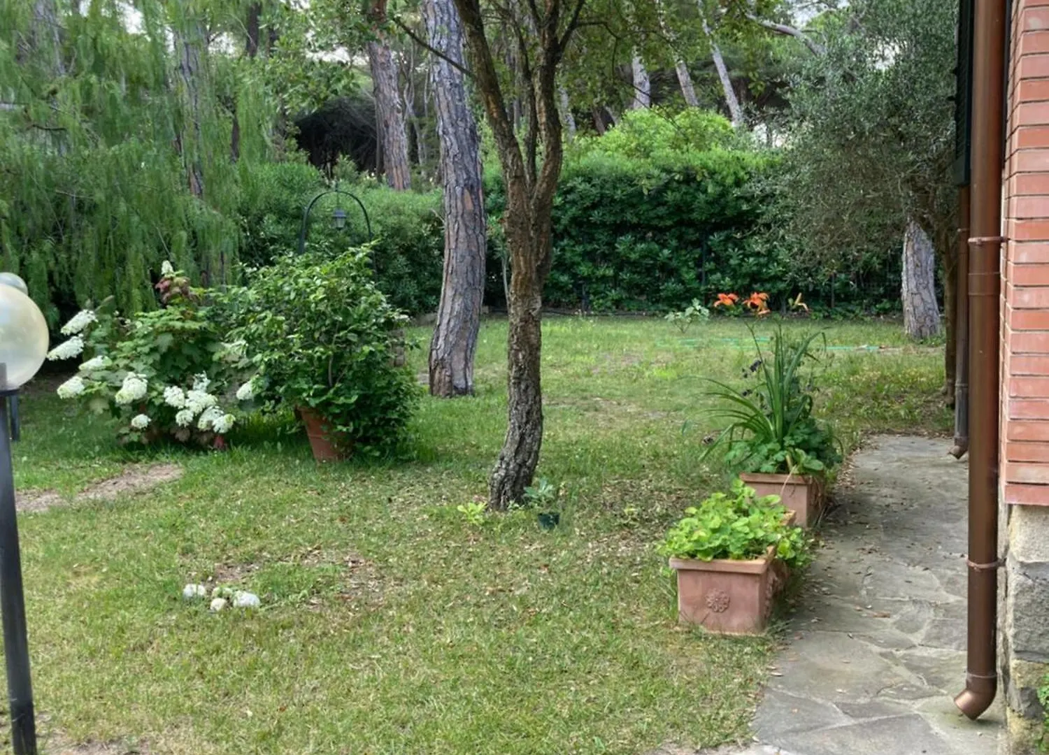 Appartamento La Casa Di Mishka Grosseto 0*,
